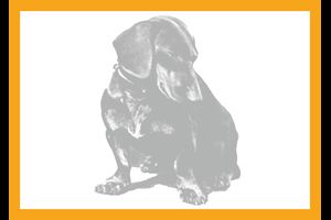 HKH_PK Erdmann oder Fakeman? 